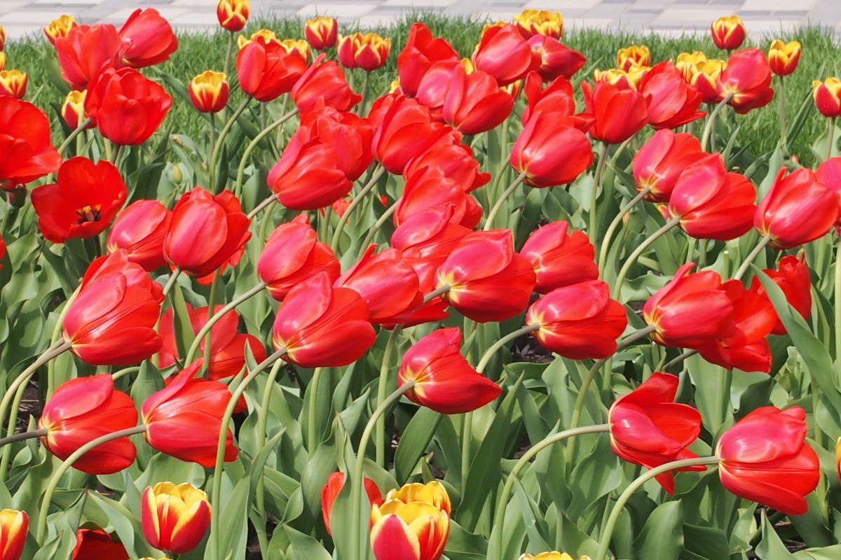 ����� ����� ������  �� PhotoGeek.ru #������ ��� ������� #���������