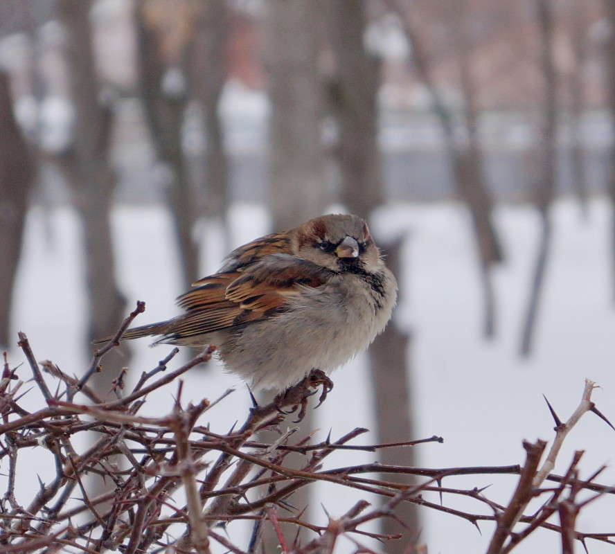 ������������� ������ ����� ������  �� PhotoGeek.ru #�������� ��� #����� ��� ��� ���������