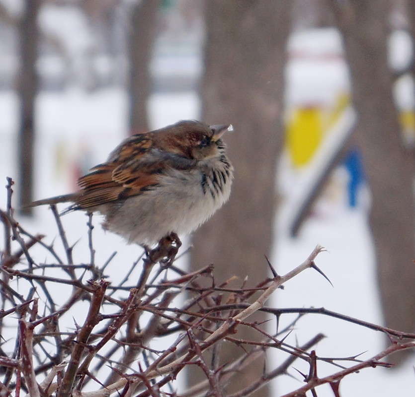 ���������� ����� ������  �� PhotoGeek.ru #�������� ��� #����� ��� ��� ���������