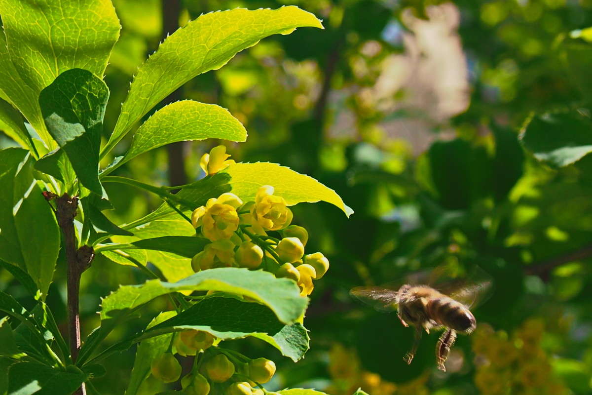 �� �������� ����� ������  �� PhotoGeek.ru #����� #������ ��� �������