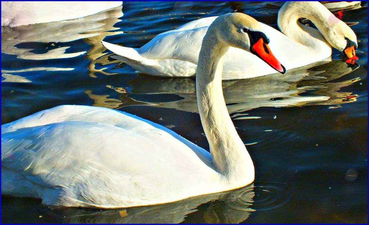 ������ ����� ������  �� PhotoGeek.ru #�������� ���