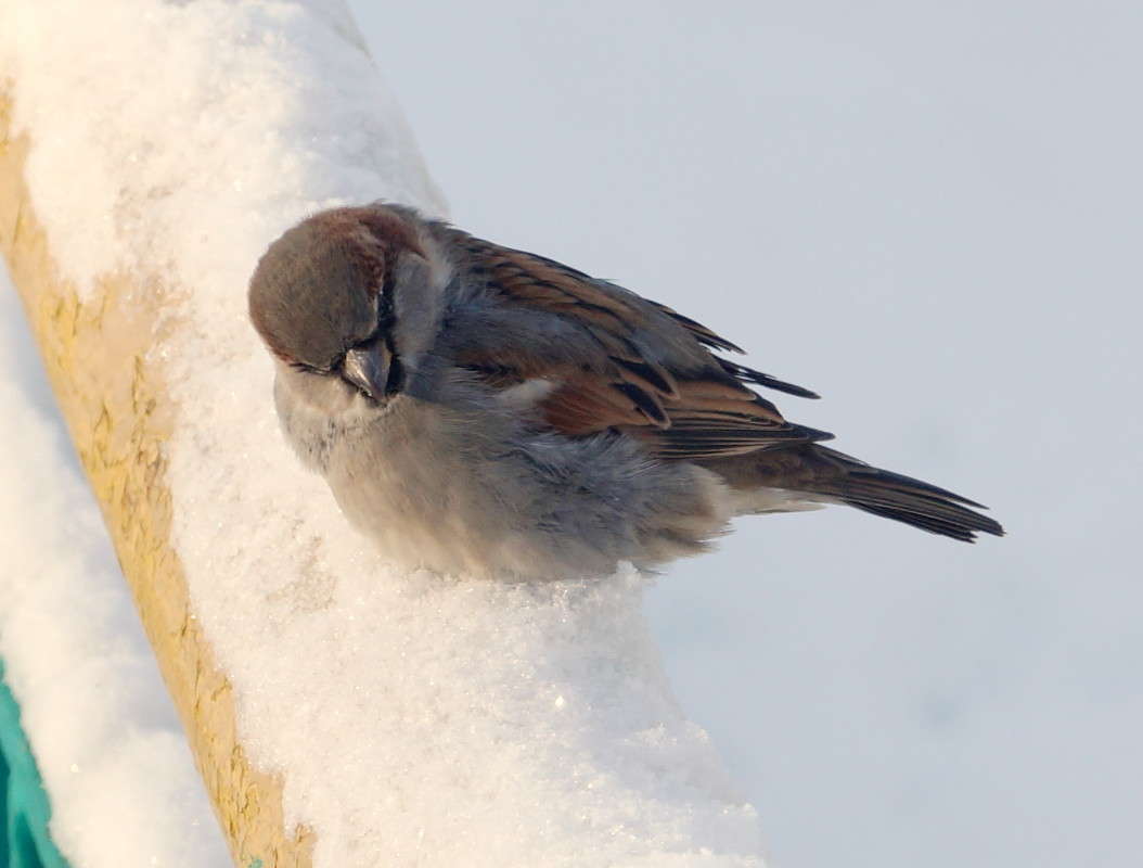 �������� ������� ����� ������  �� PhotoGeek.ru #�������� ���