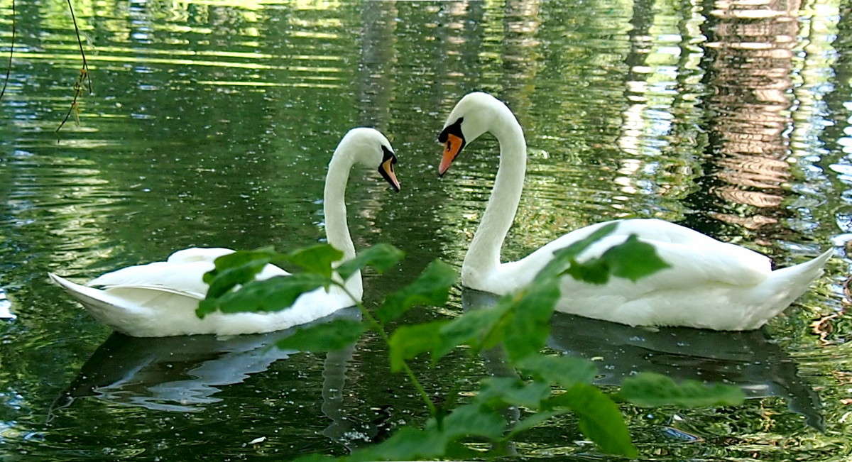 ������� ������� ����� ������  �� PhotoGeek.ru #�������� ��� #����� ��� ��� ���������