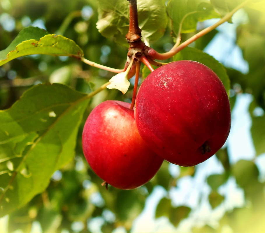 �������� ������� ����� ������  �� PhotoGeek.ru #������ ��� ������� #����� ��������������