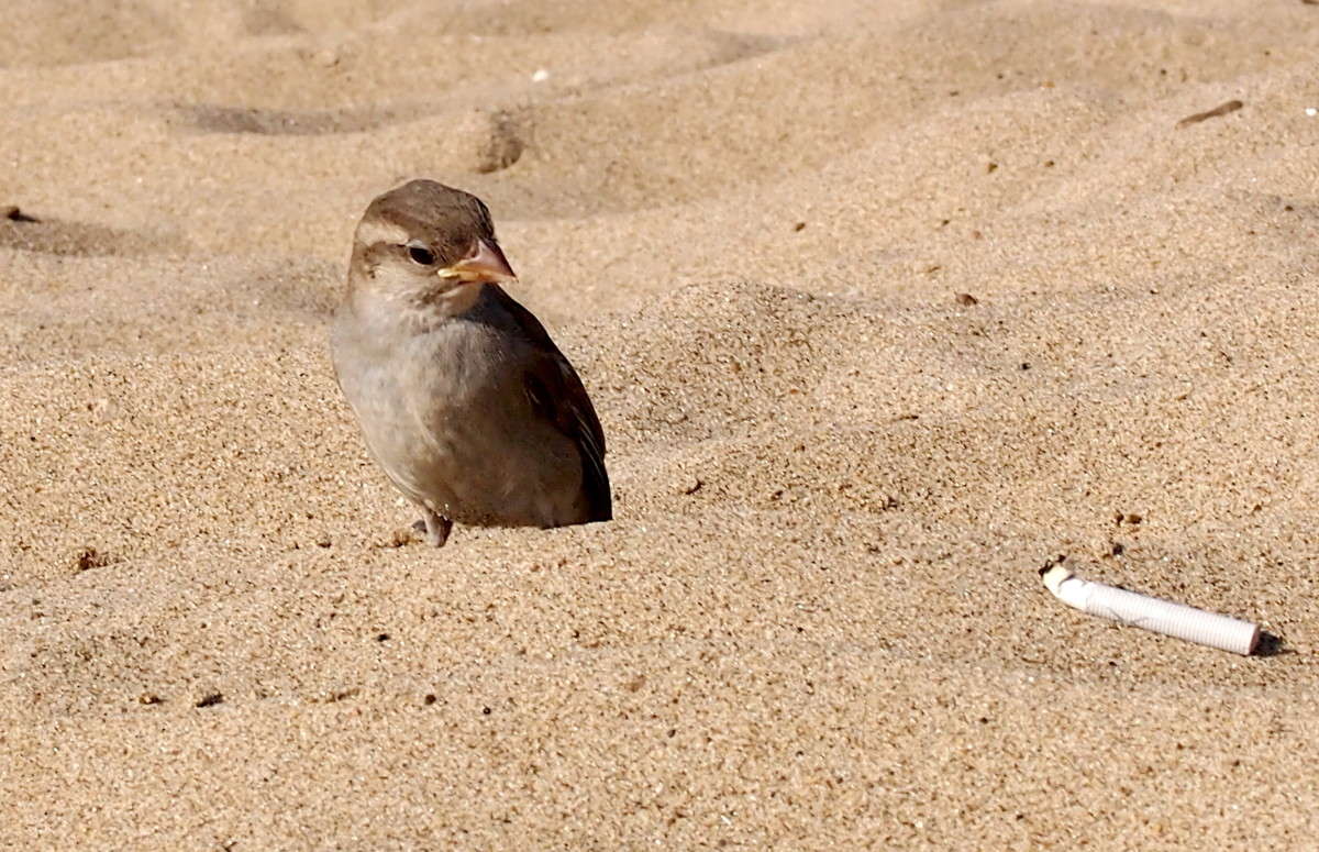 ���������,��� �� ������? ����� ������  �� PhotoGeek.ru #�������� ���