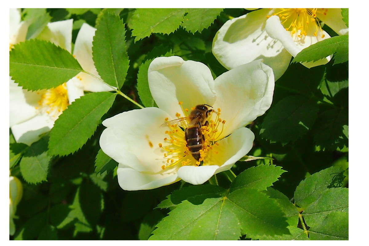 �������� ������ ����� ������  �� PhotoGeek.ru #�����