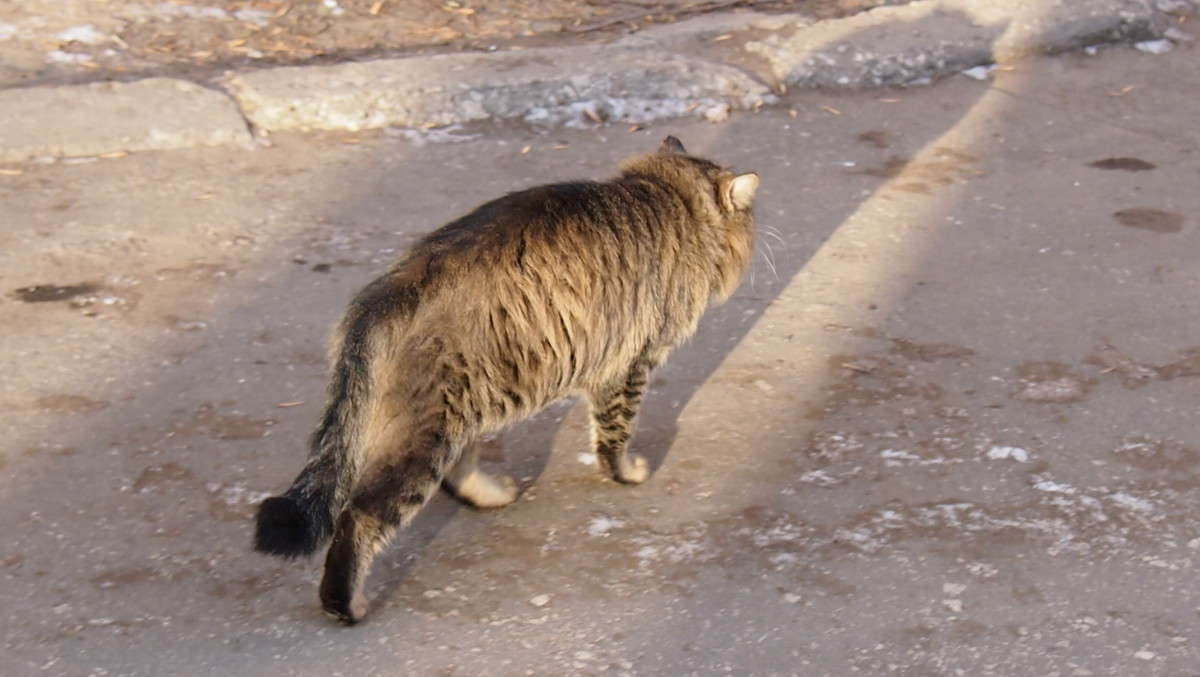 �������� ����� ������  �� PhotoGeek.ru #�������� ��� #�������� ���