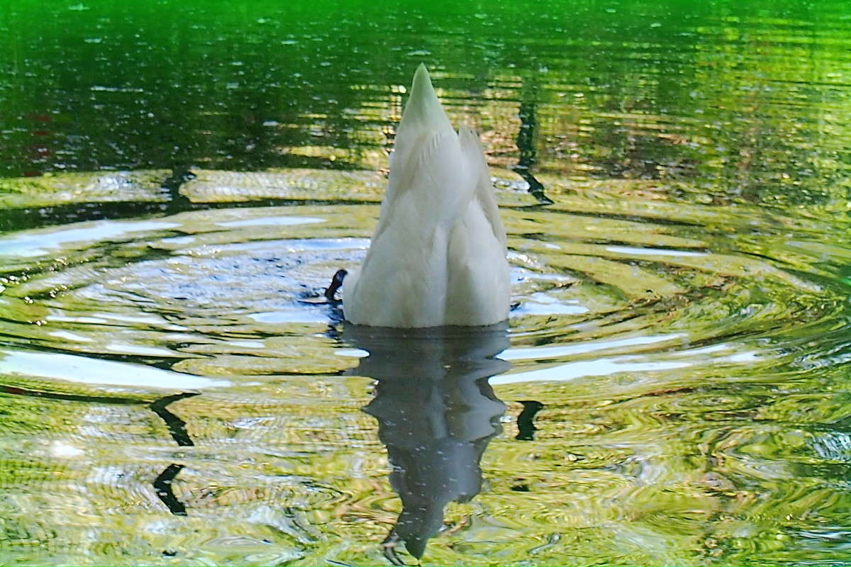 ������ ����� ������  �� PhotoGeek.ru #�������� ��� #����� ��� ��� ���������