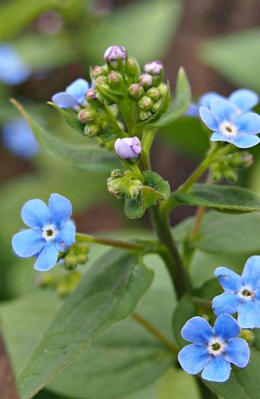 ��������� ����� ������  �� PhotoGeek.ru #������ ��� ������� #������