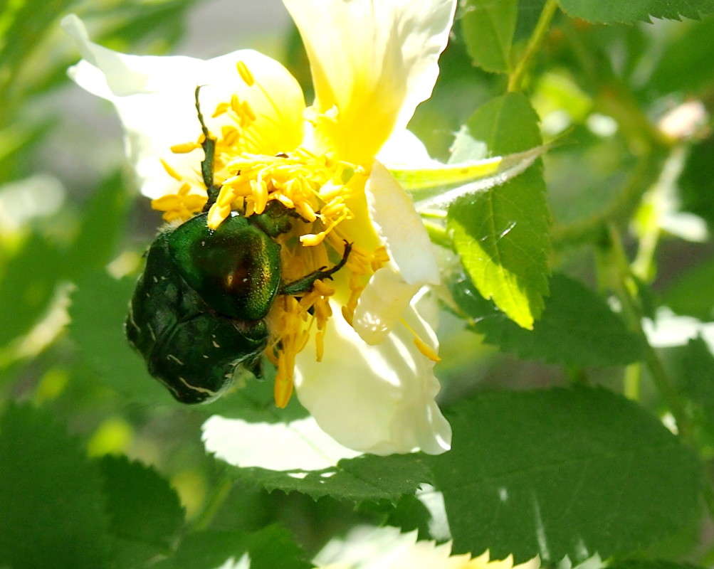 ���������� ������ ����� ������  �� PhotoGeek.ru #����� #���������