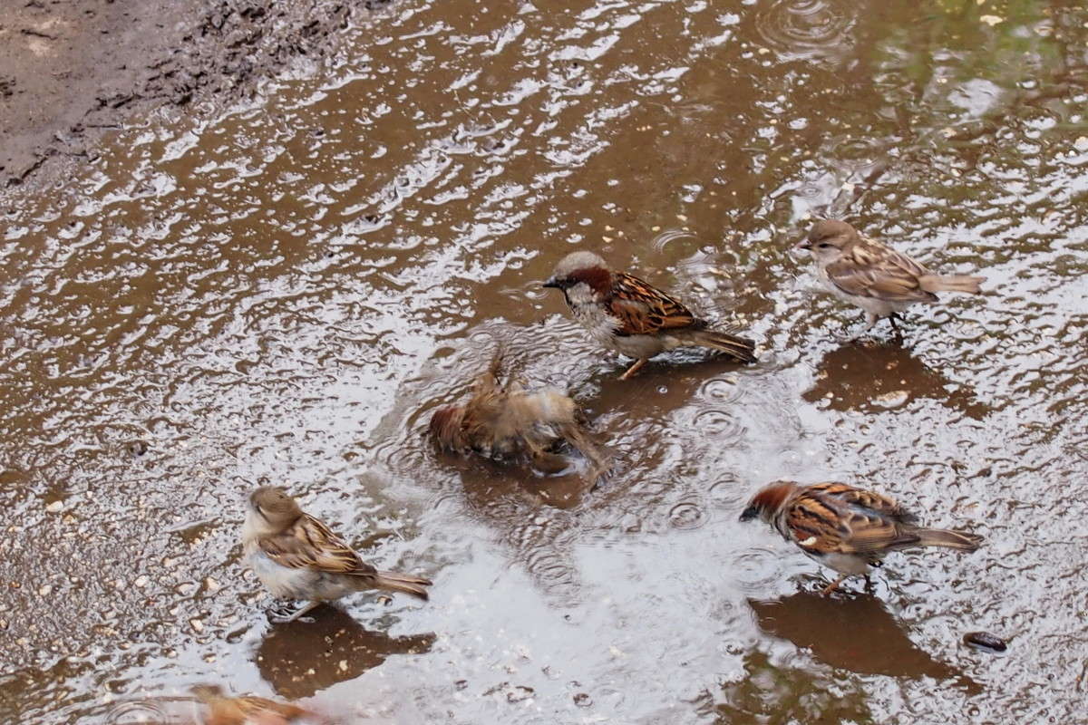 �� � ���� ������, � ��� ��� ����! ����� ������  �� PhotoGeek.ru #�������� ��� #����� ��� ��� ���������