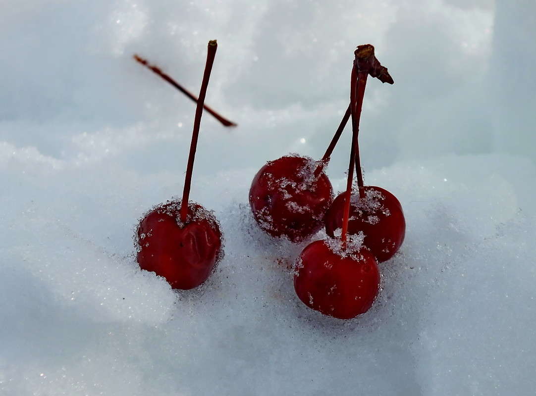 ������� ������� ����� ������  �� PhotoGeek.ru #�����