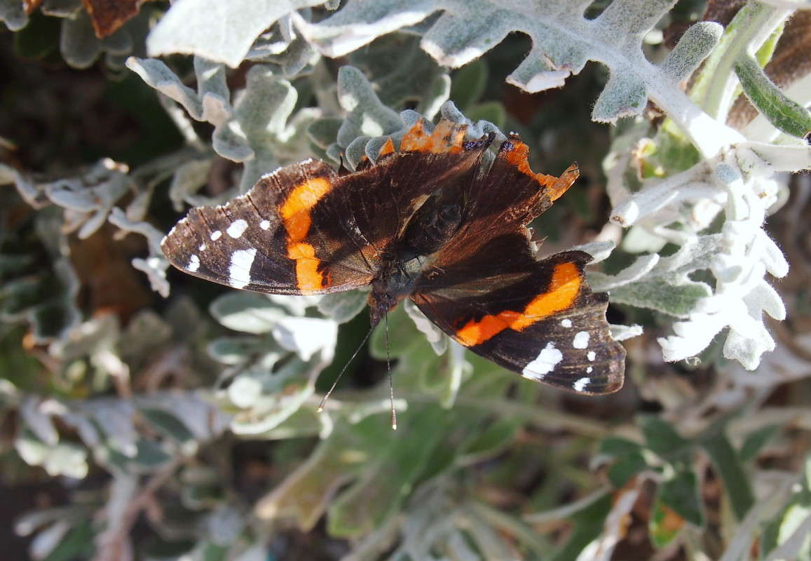 ������� ����� ������  �� PhotoGeek.ru #����� #���������