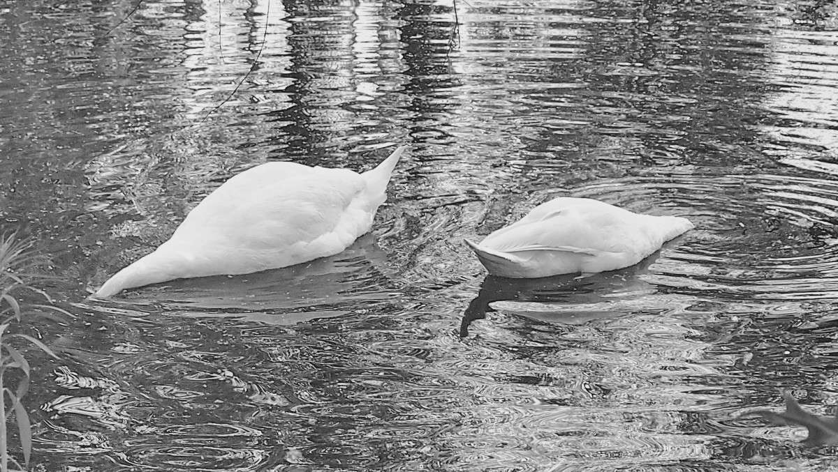 ���������� �������� ����� ������  �� PhotoGeek.ru #�������� ���