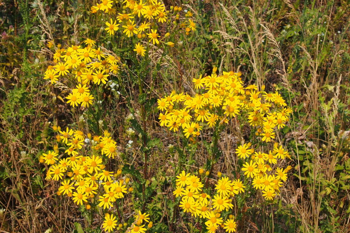 ������ ��������� ����� ������  �� PhotoGeek.ru #������ ��� ������� #����� ��������������