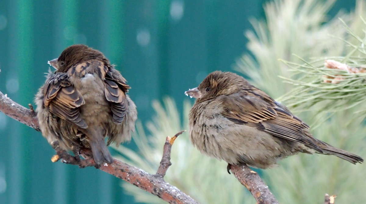 ���� ������ ����� ������  �� PhotoGeek.ru #�������� ��� #����� ��� ��� ���������