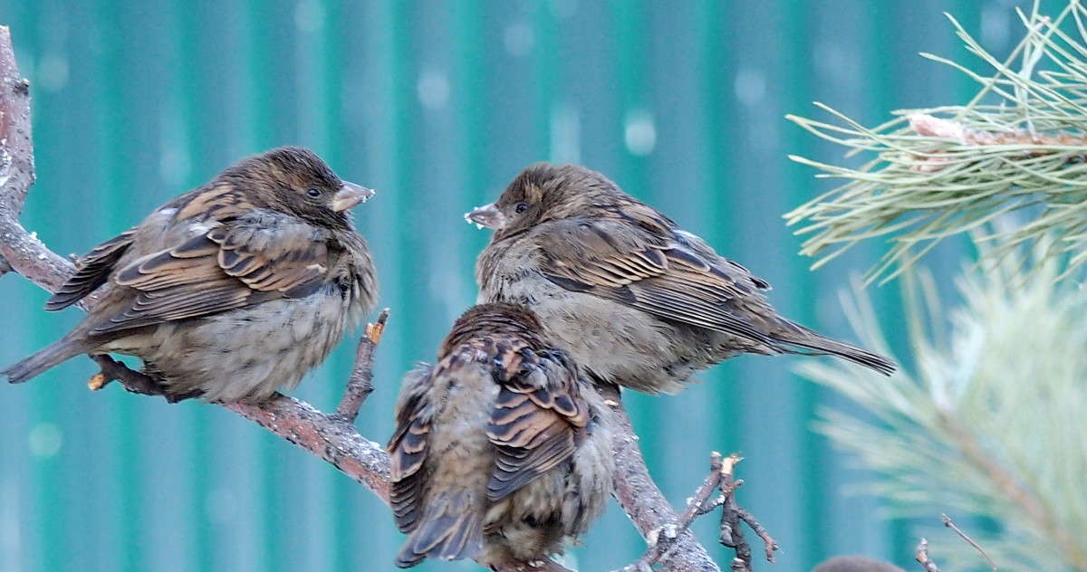 �� ����� ���������?? ����� ������  �� PhotoGeek.ru #�������� ��� #����� ��� ��� ���������