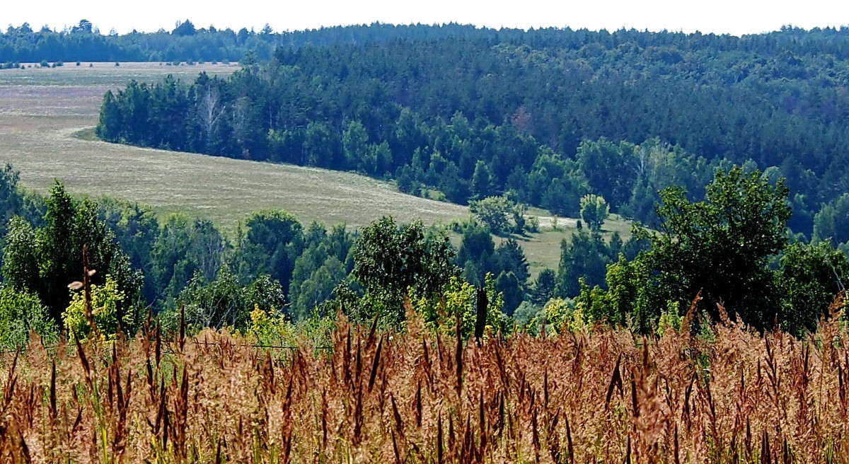 ������ ������� ����� ������  �� PhotoGeek.ru #������ ��� ������� #���������