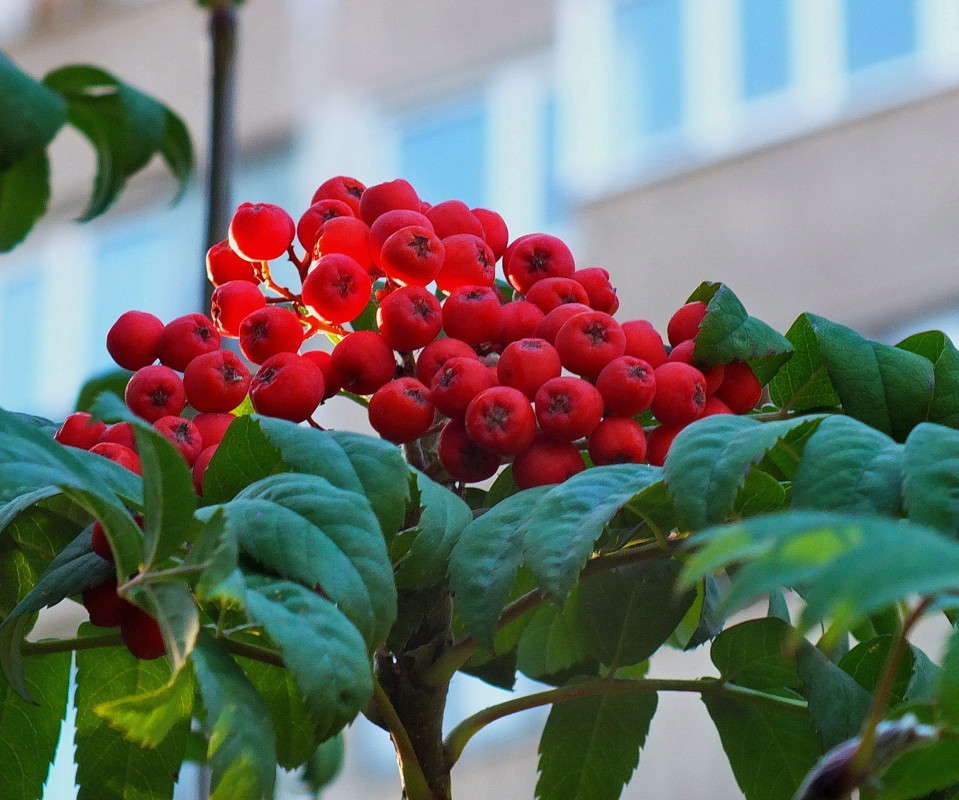 ����� ������ ����� ������  �� PhotoGeek.ru #������ ��� ������� #����� ��������