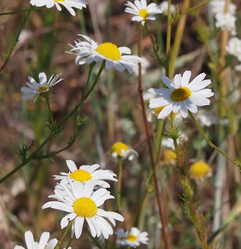 ������� ����� ������  �� PhotoGeek.ru #������ ��� ������� #����� �������������� #����� ��������