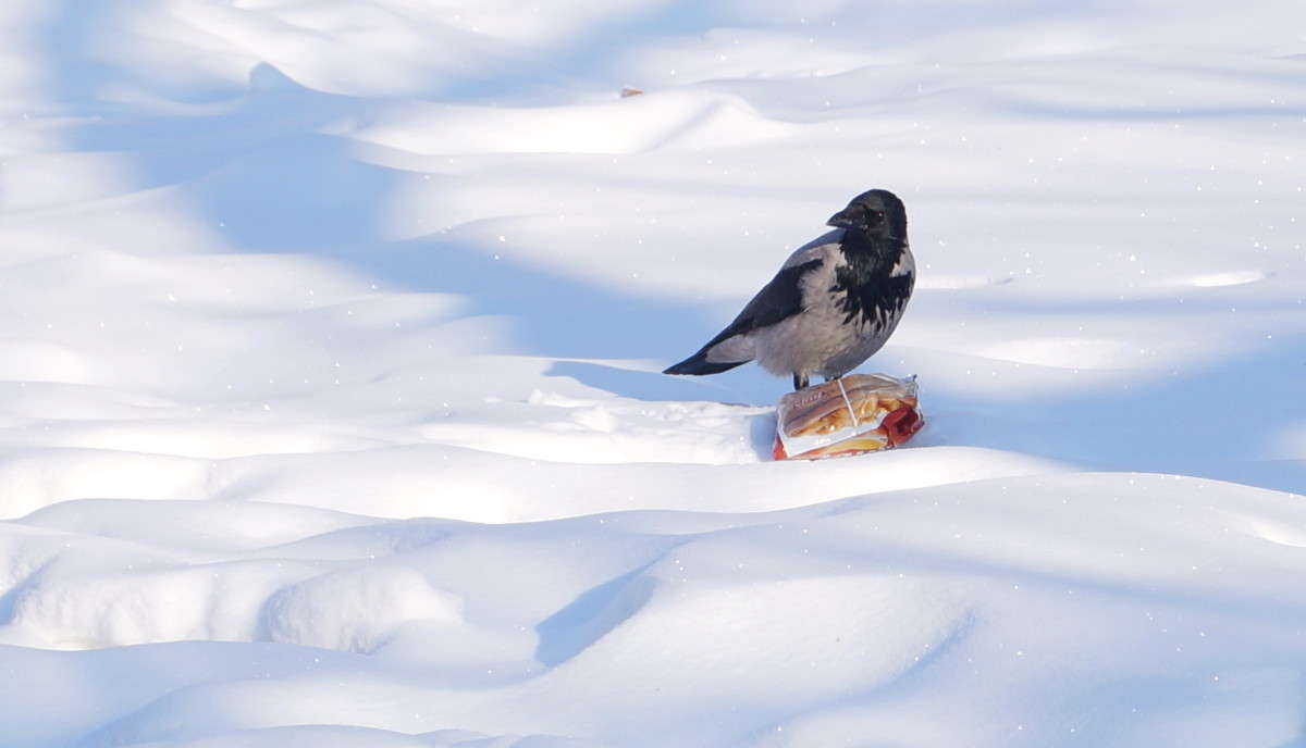 ������ �� ����� ����� ������  �� PhotoGeek.ru #�������� ��� #����� ��� ��� ���������