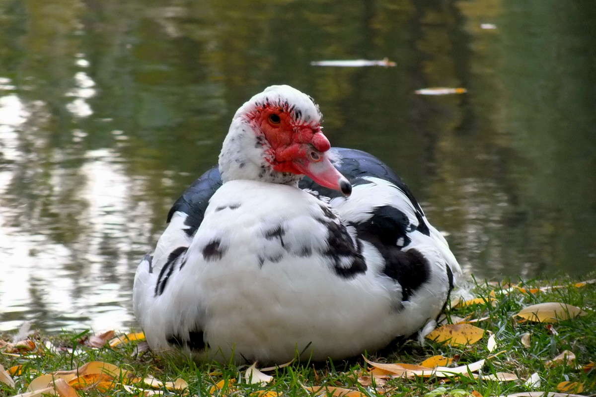 ��,����� � ������� ����� ������  �� PhotoGeek.ru #�������� ��� #����� ��� ��� ���������