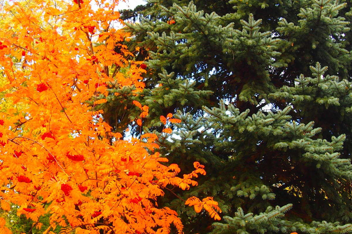 ������ ����� ������  �� PhotoGeek.ru #������ ��� �������