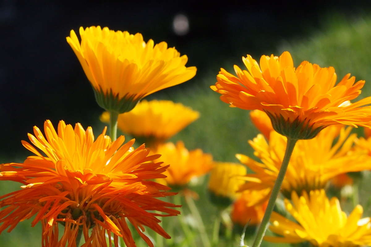 ��� �� ���� ���������� ����� ������  �� PhotoGeek.ru #������ ��� ������� #����� �������������� #����� ��������