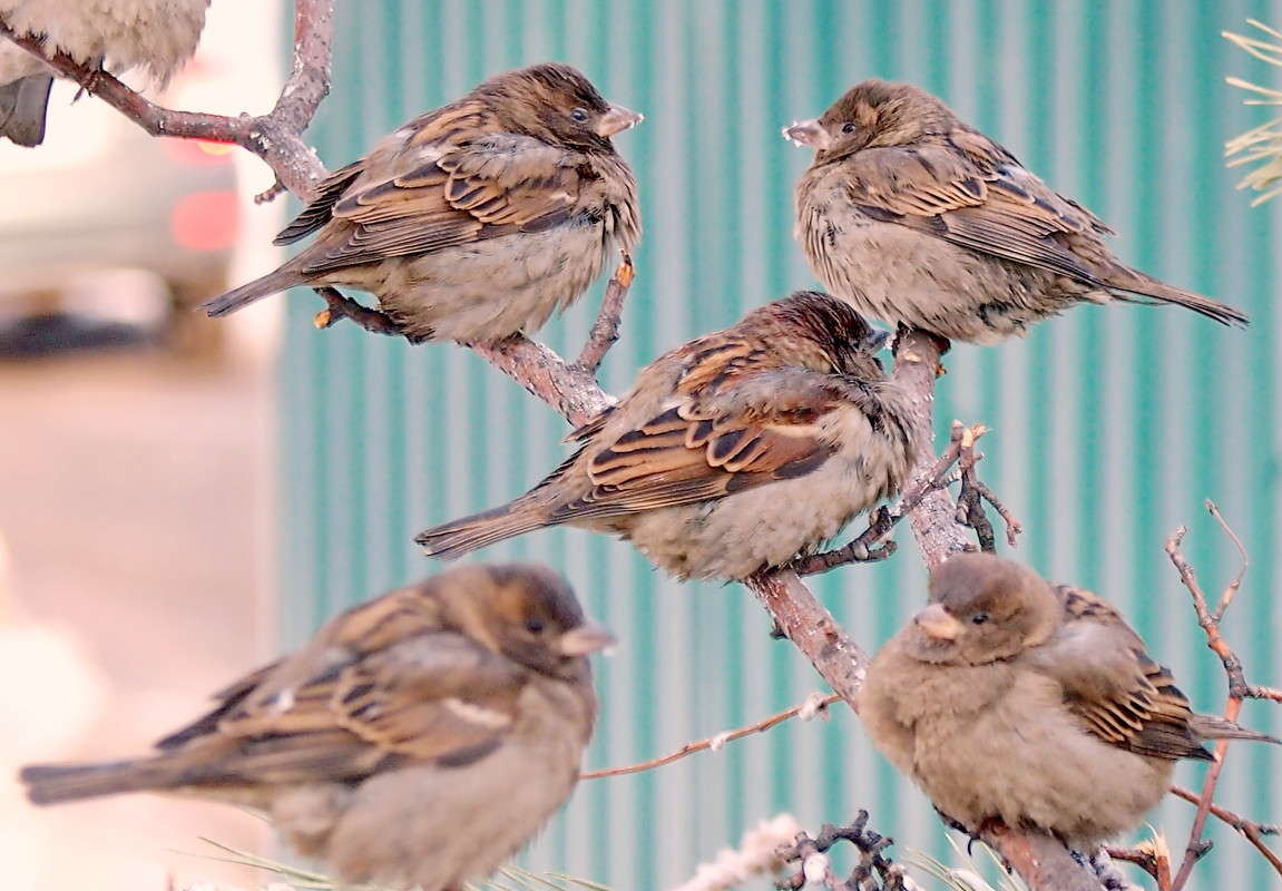 �������� ������ �������� ����� ������  �� PhotoGeek.ru #�������� ��� #����� ��� ��� ���������