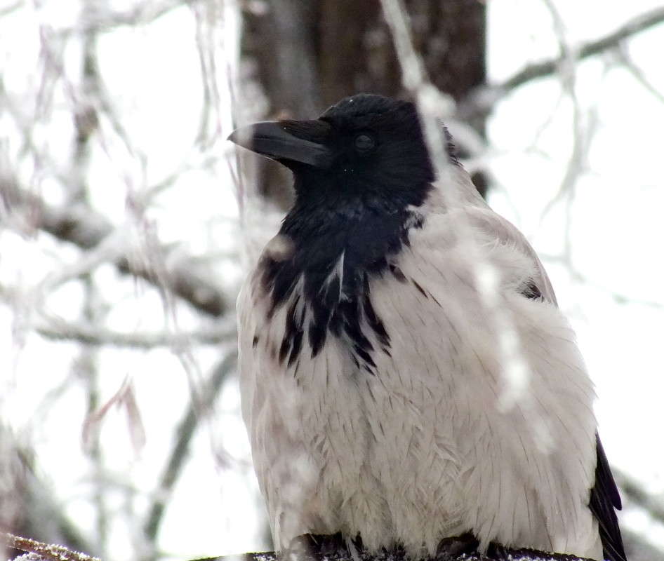 ������� ������ ����� ������  �� PhotoGeek.ru #�������� ���