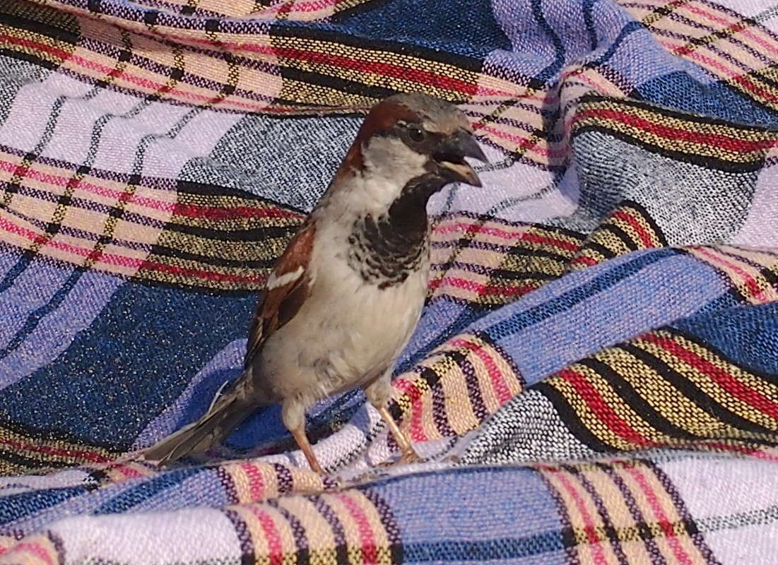 ������� �� ������! ����� ������  �� PhotoGeek.ru #�������� ��� #����� ��� ��� ���������