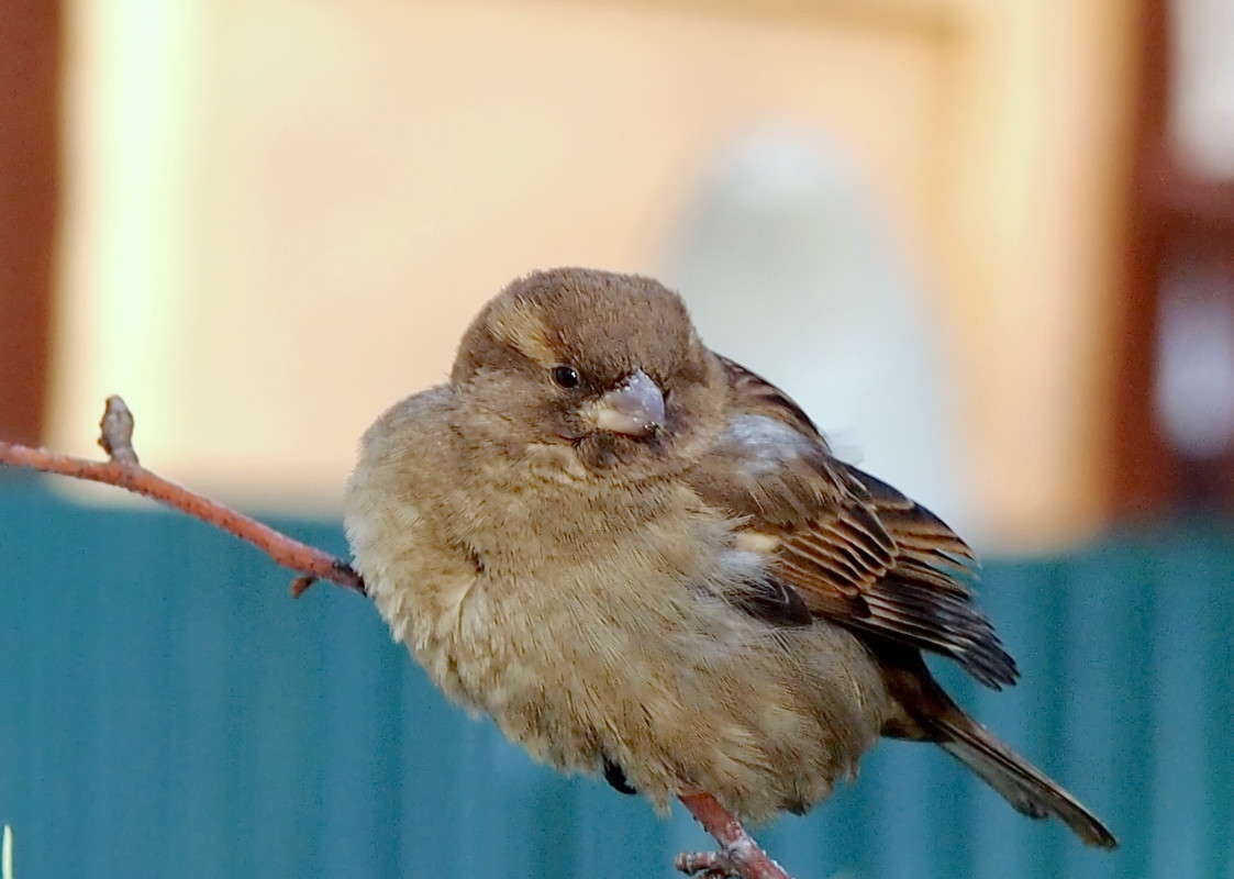 ��,��� � ������ ����� ������  �� PhotoGeek.ru #�������� ���