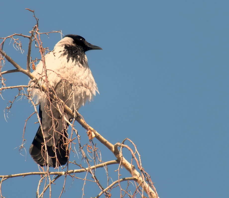 ������ ����,������ ����� ����� ������  �� PhotoGeek.ru #�������� ���