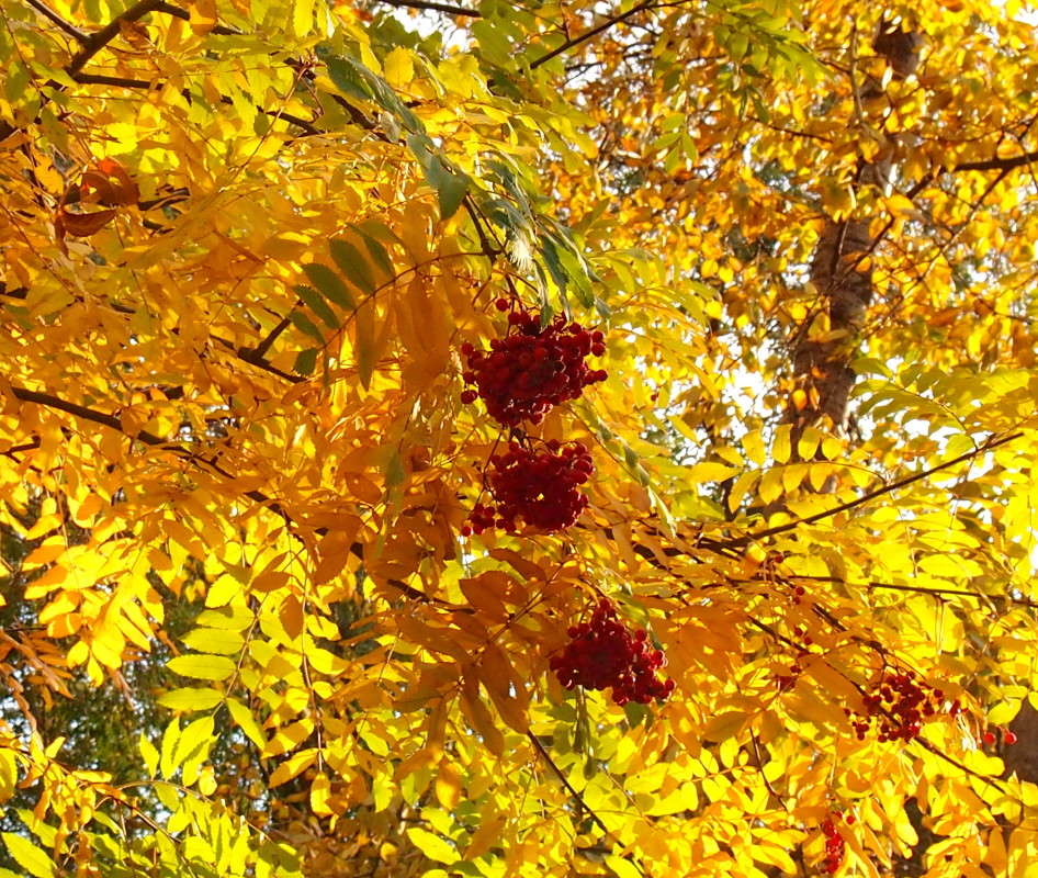 �������� ����� ������  �� PhotoGeek.ru #������ ��� ������� #��������� #����� ��������