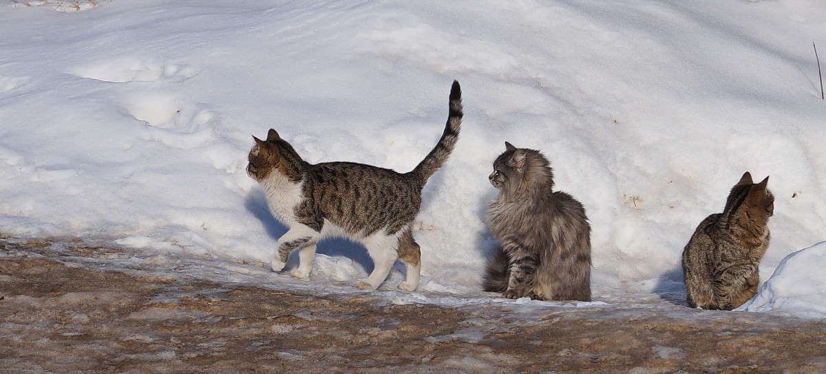 ������ ����� ������  �� PhotoGeek.ru #�������� ��� #����� ��� ��� ���������