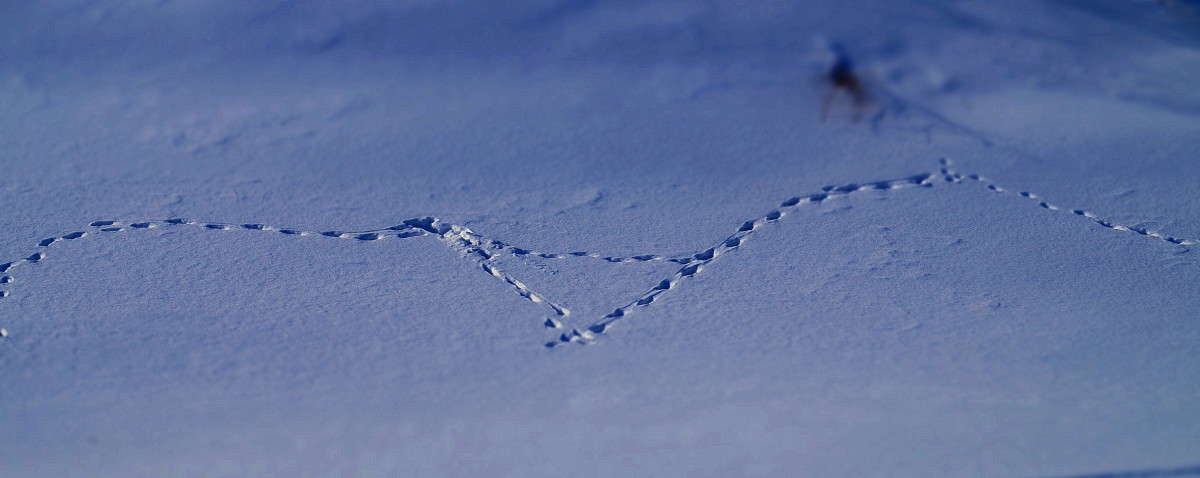 ����� �� ����� ����� ������  �� PhotoGeek.ru #������ ��� �������