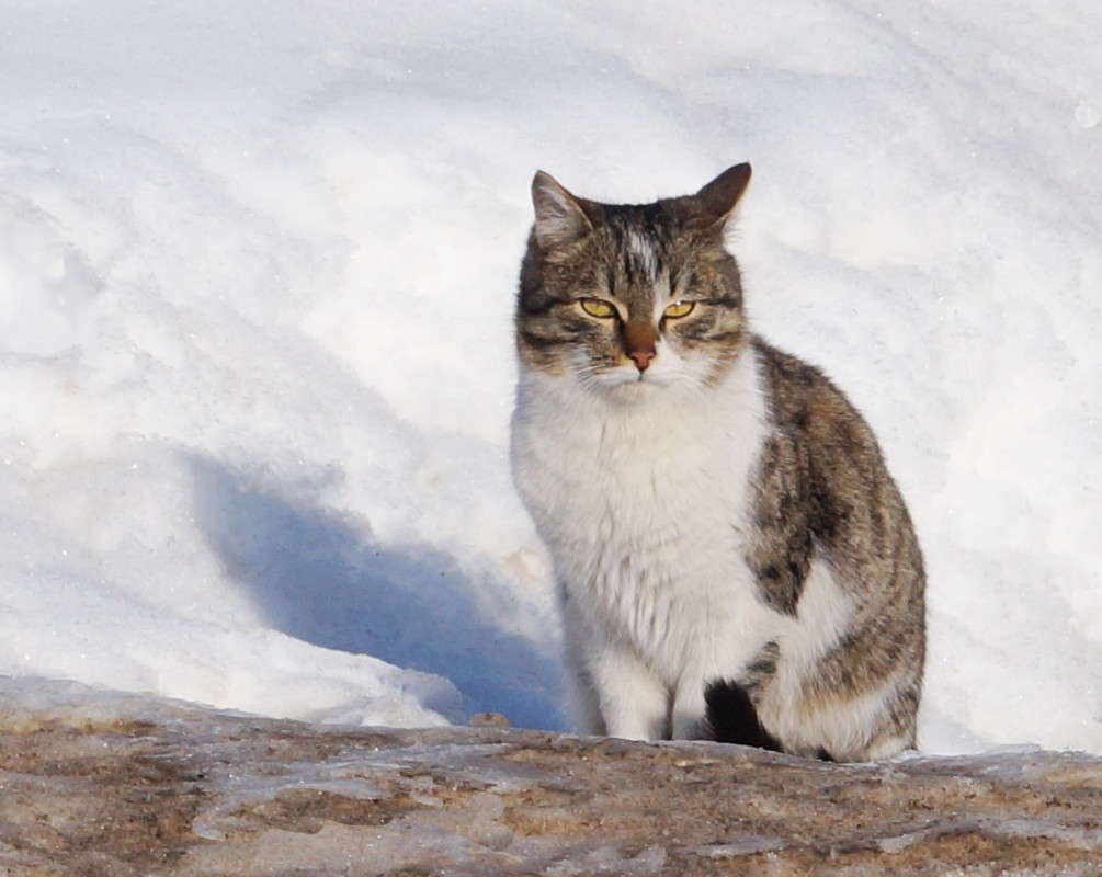 ������� �� �������� ����� ������  �� PhotoGeek.ru #�������� ���