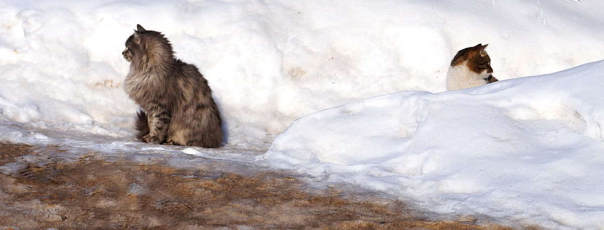 ����� ,���� ������! ����� ������  �� PhotoGeek.ru #�������� ��� #����� ��� ��� ���������