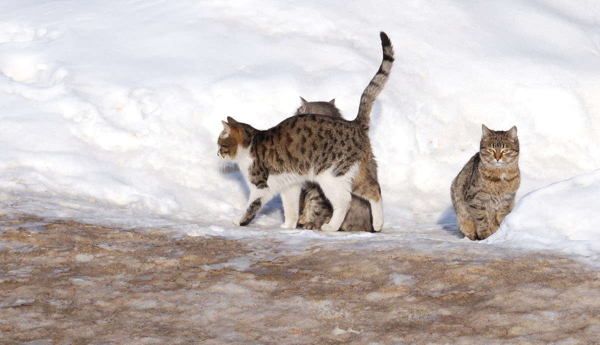 ������� ����� ������  �� PhotoGeek.ru #�������� ���