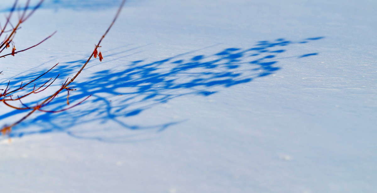 � ��� ������ ����� ��� ,� � ���?????? ����� ������  �� PhotoGeek.ru #������ ��� ������� #����� ��������