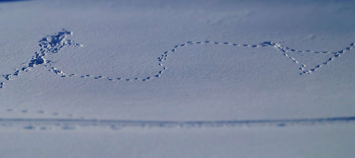 ��� �� �����? ����� ������  �� PhotoGeek.ru #������ ��� �������