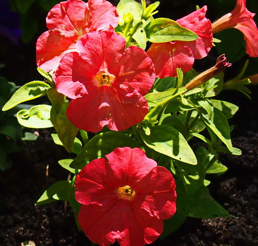 ����������  ������� ����� ������  �� PhotoGeek.ru #����� #������ ��� ������� #����� ��������