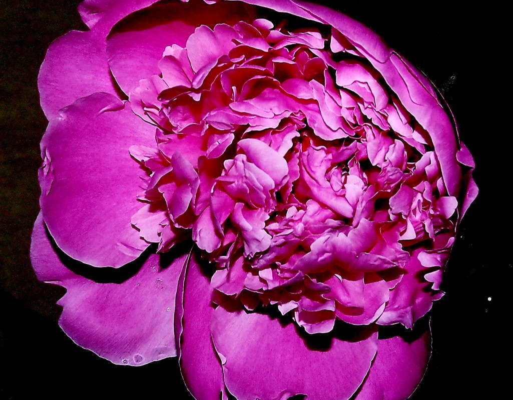 ��������� ����� ������  �� PhotoGeek.ru #����� #������ ��� ������� #���������