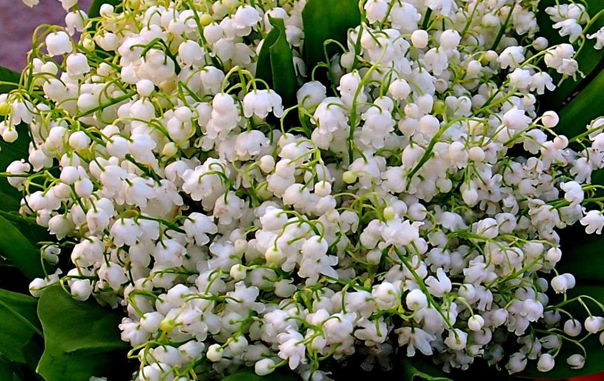 ������� ����� ������  �� PhotoGeek.ru #������ ��� �������