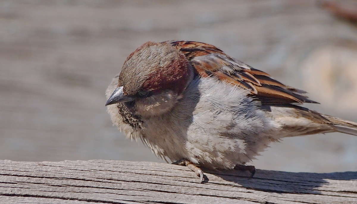 ��� �� �� ������! ����� ������  �� PhotoGeek.ru #�������� ��� #����� ��� ��� ���������