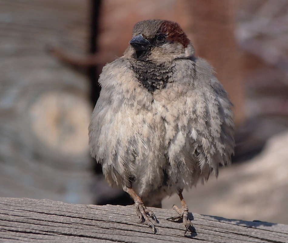 ������� -�� ������!� ������� -���?? ����� ������  �� PhotoGeek.ru #�������� ��� #����� ��� ��� ���������