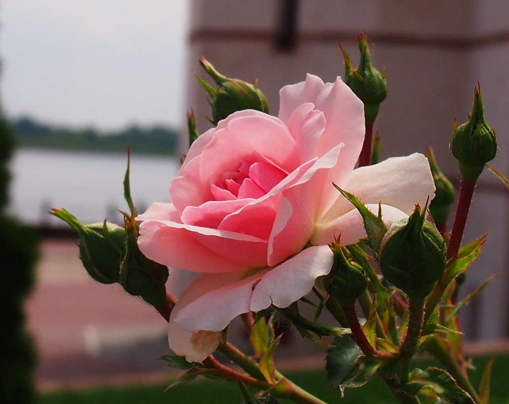 ���� ������, ����� ������  �� PhotoGeek.ru #������ ��� �������