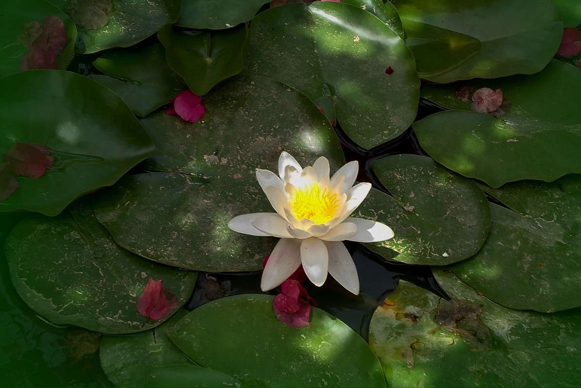 �������� ����� ������  �� PhotoGeek.ru #������ ��� ������� #����� ��������