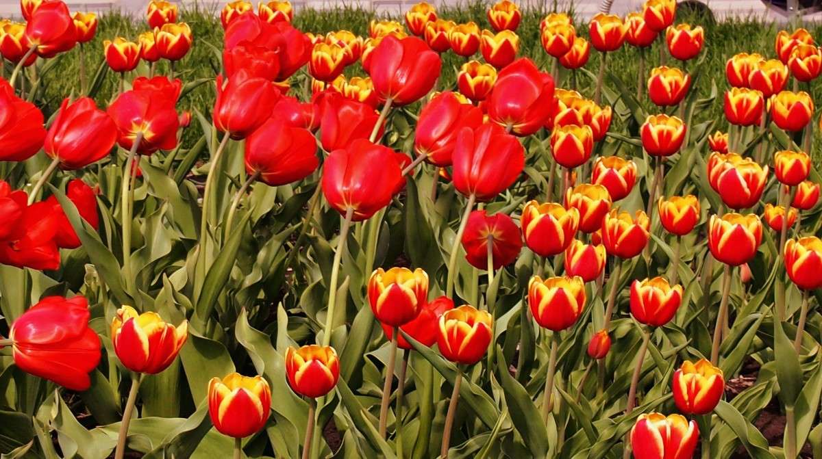 � ����������,����� �������!! ����� ������  �� PhotoGeek.ru #����� #������ ��� ������� #��������� ������ #����� ��������