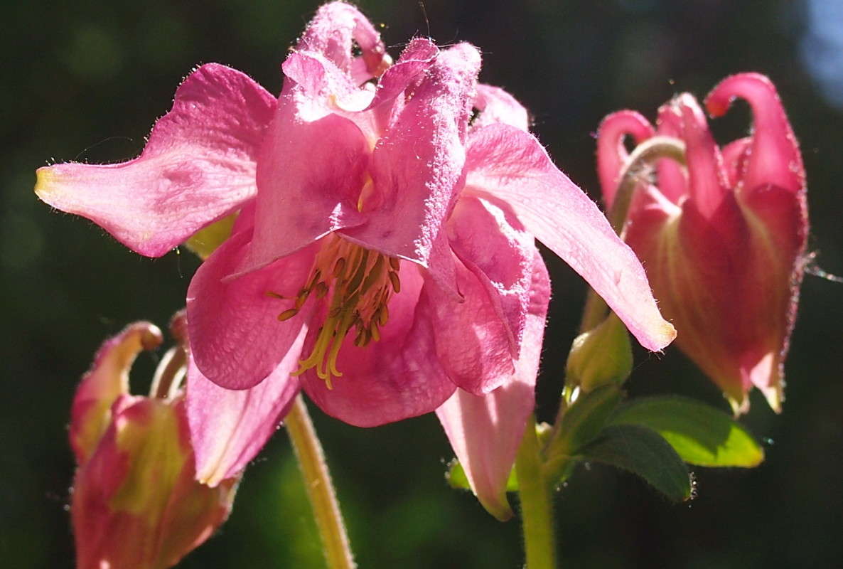 ��������� ����� ������  �� PhotoGeek.ru #������ ��� �������